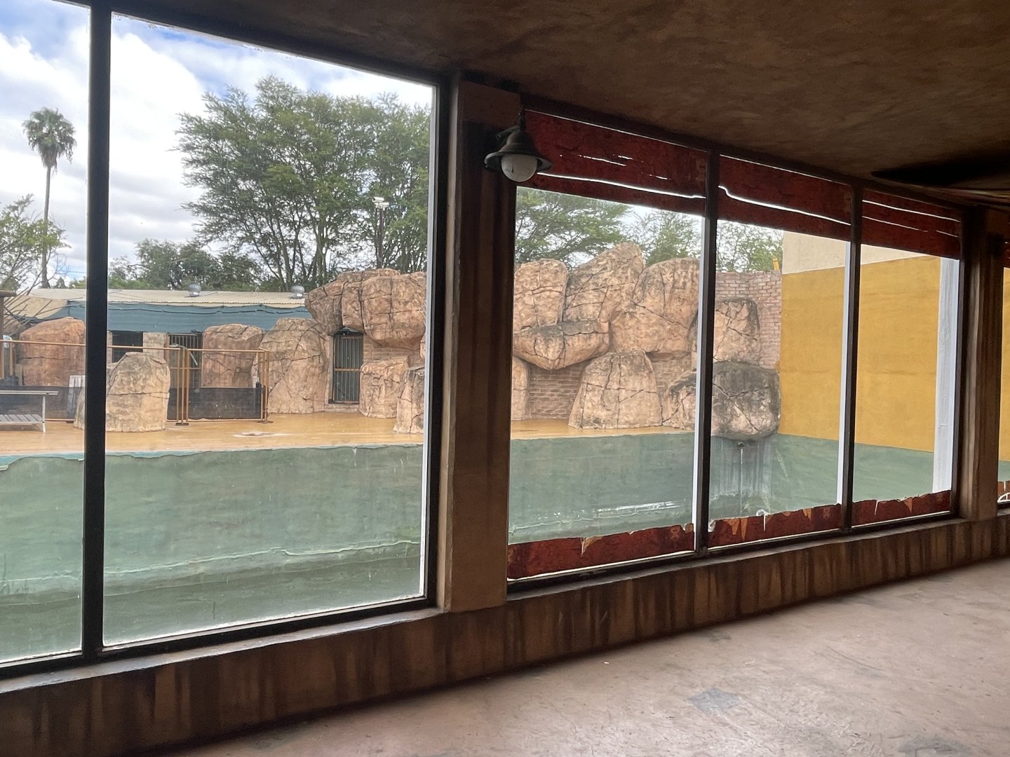 outh American and South African Fur Seal Exhibit (Arctocephalus pusillus, Arctocephalus australis)