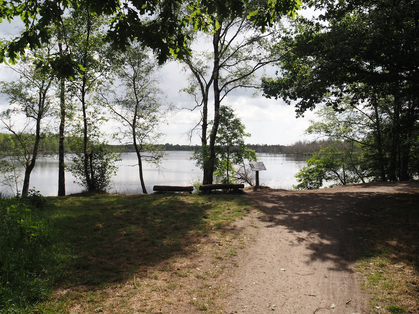 Outlook onto the Zwillbrocker Venn, 2025-05-26