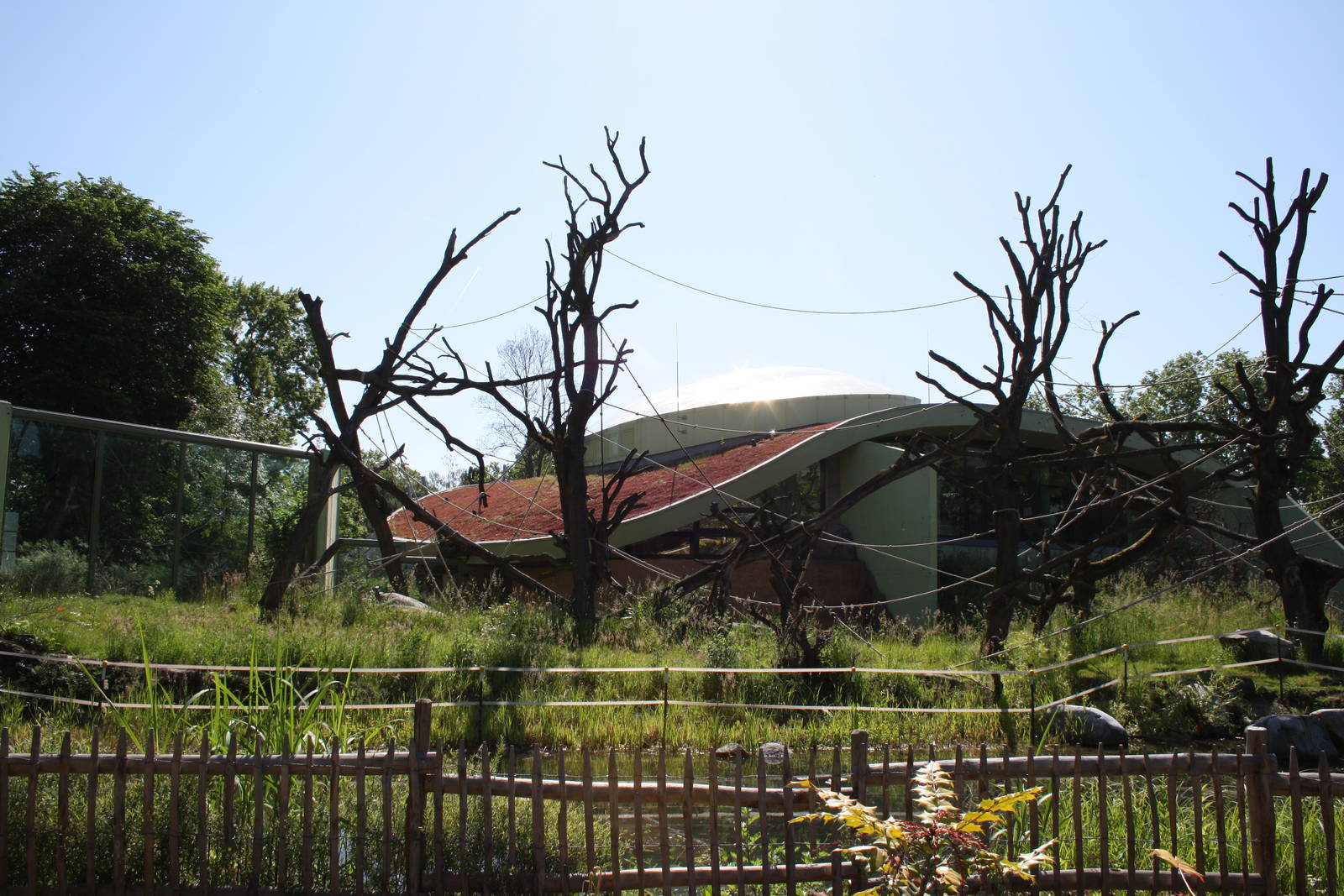 Outside ape area - 4 June 2010