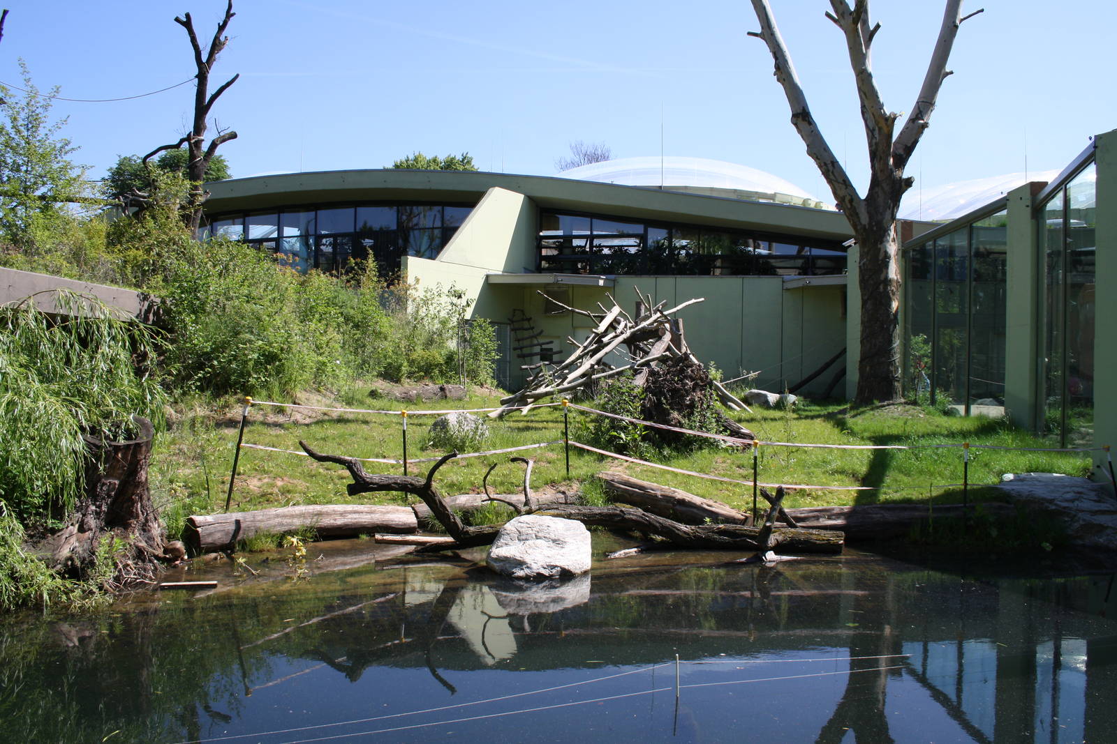 Outside ape area - 4 June 2010