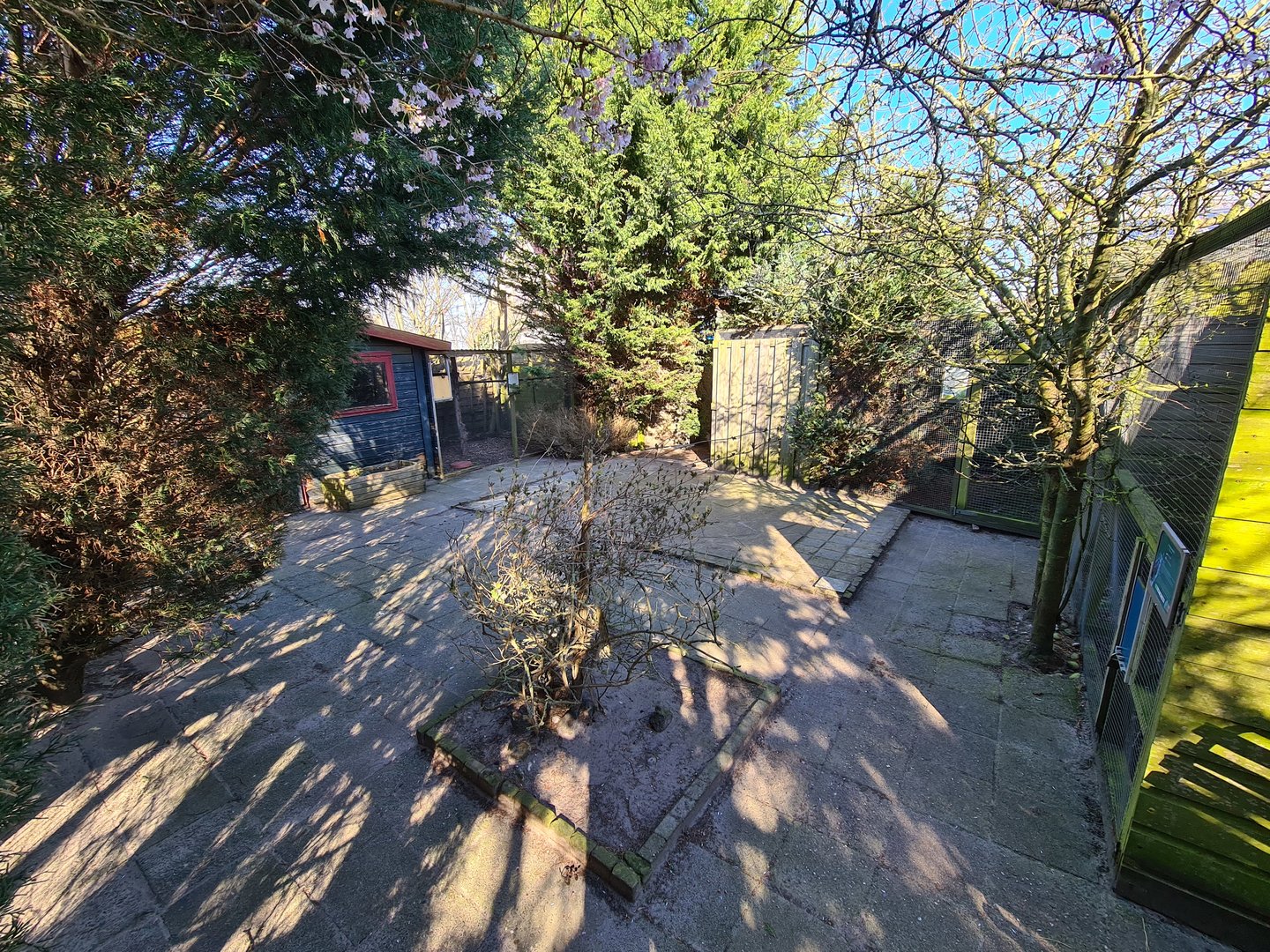 Outside area - Bird of prey aviaries