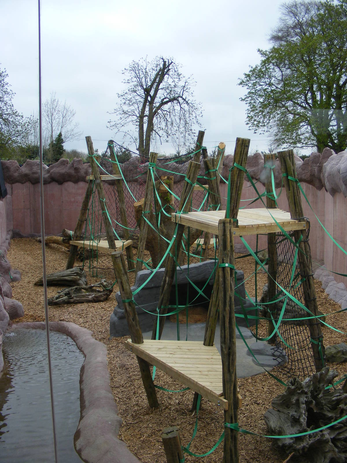 Outside area of Orangutan Forest