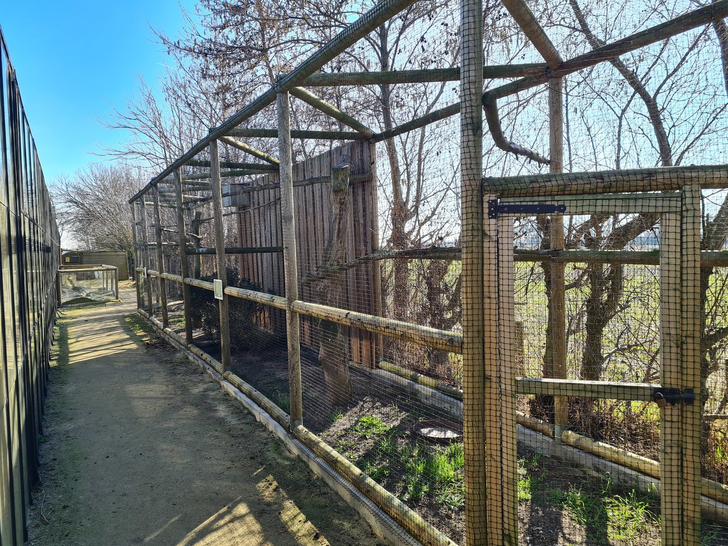 Outside area - Ural owl (front) and Barn owl (back) aviaries