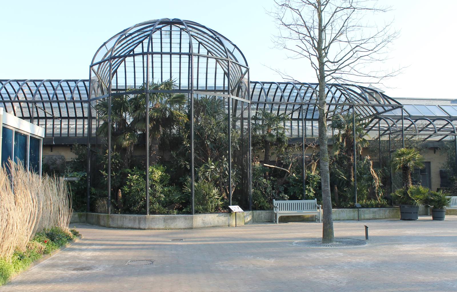 Outside aviaries Bird-house