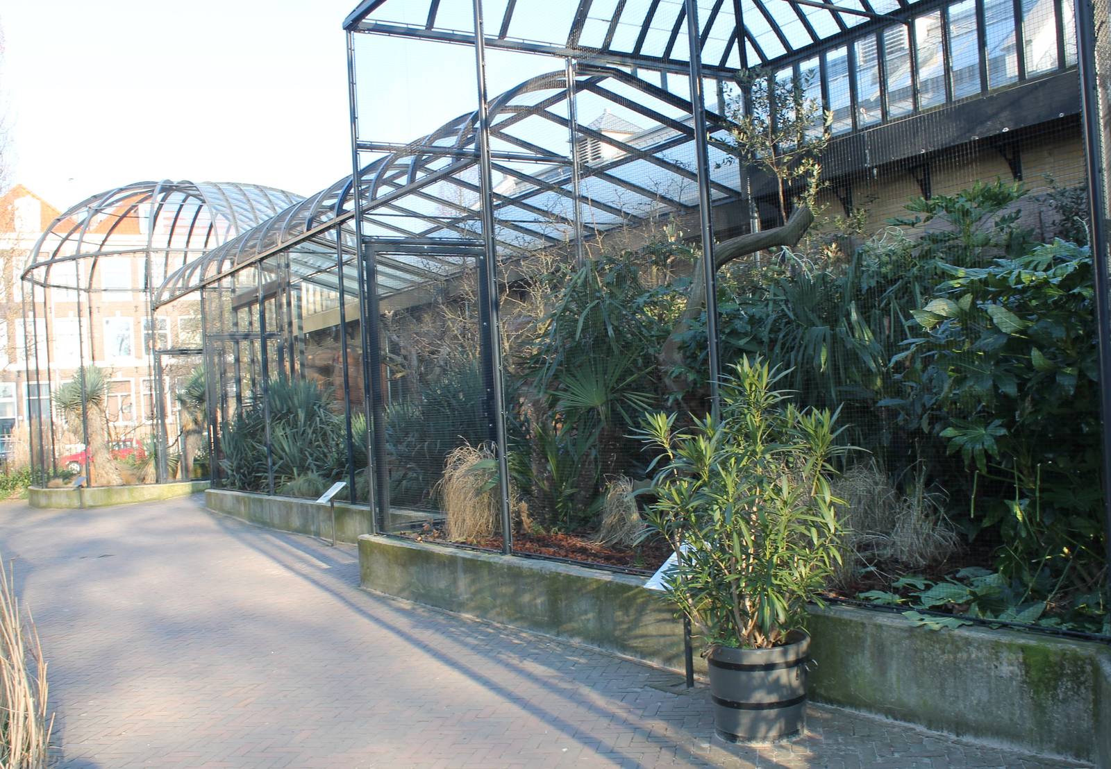 Outside aviaries Weavers and Hornbills