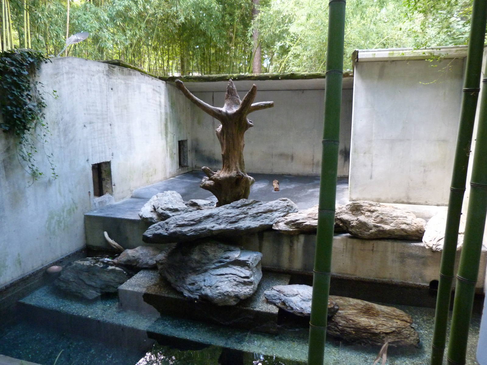 Outside Bedroom Area (Andean Bear) - 9/7/13