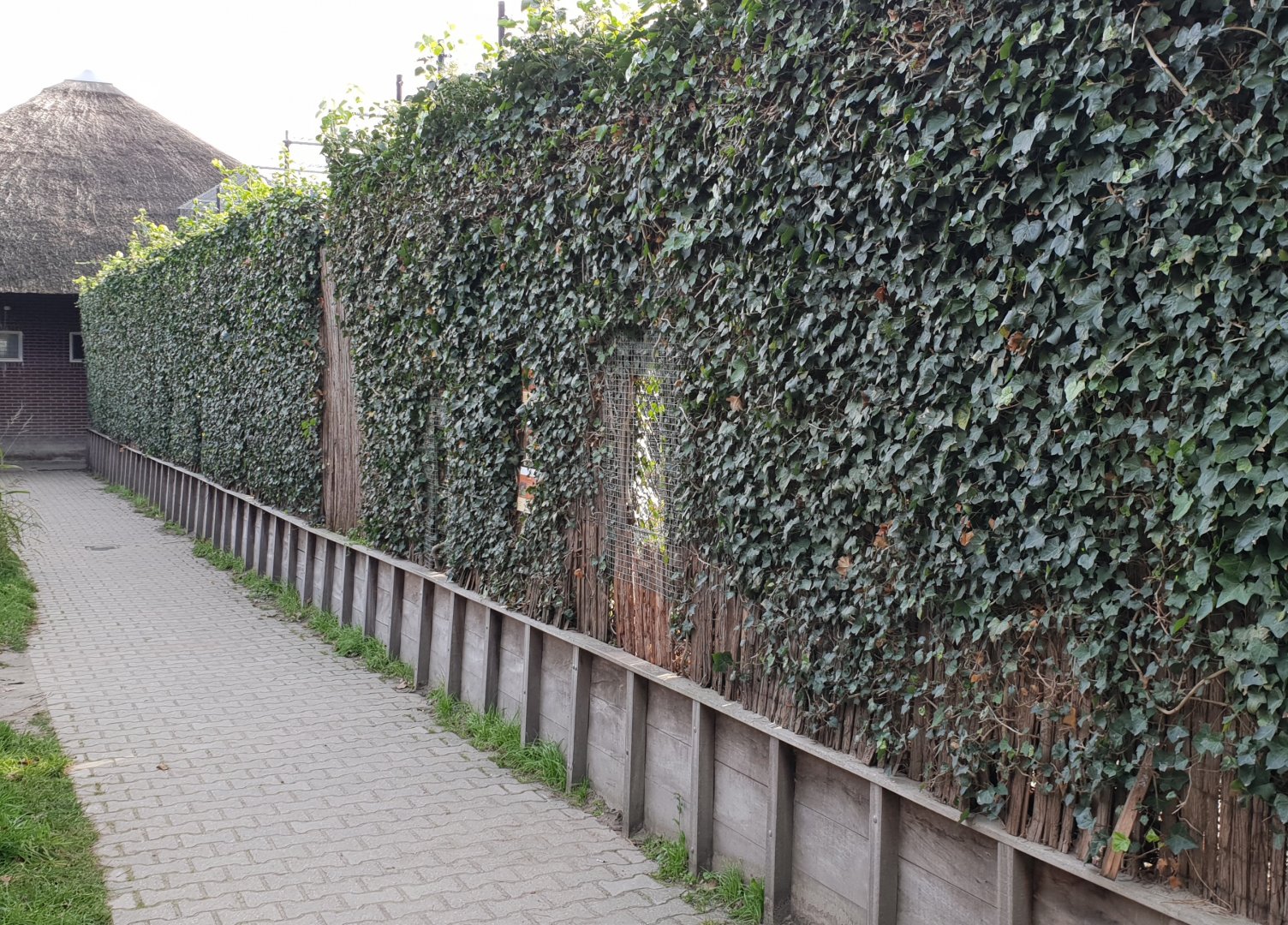 Outside Big cat-enclosures