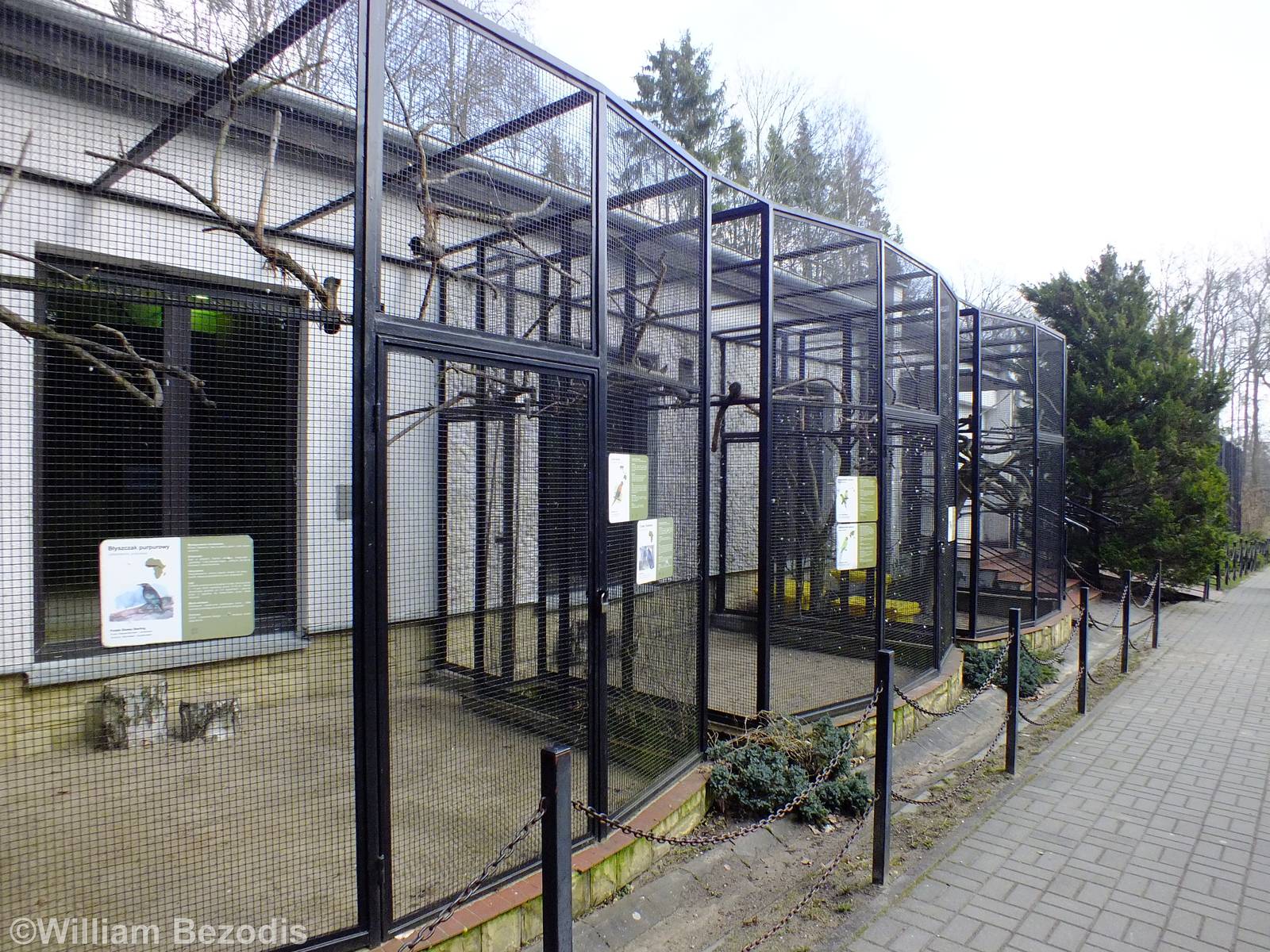 Outside Bird Enclosures of the Bird and Reptile Pavilion