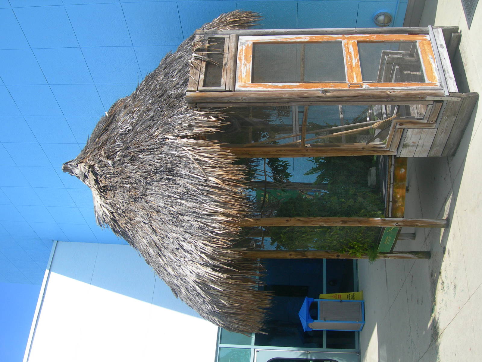 Outside bird Exhibit