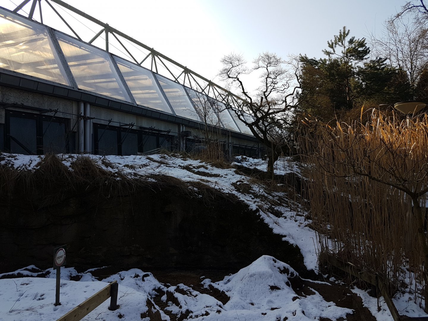 Outside Burgers Desert