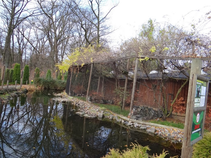 Outside cages of small monkeys