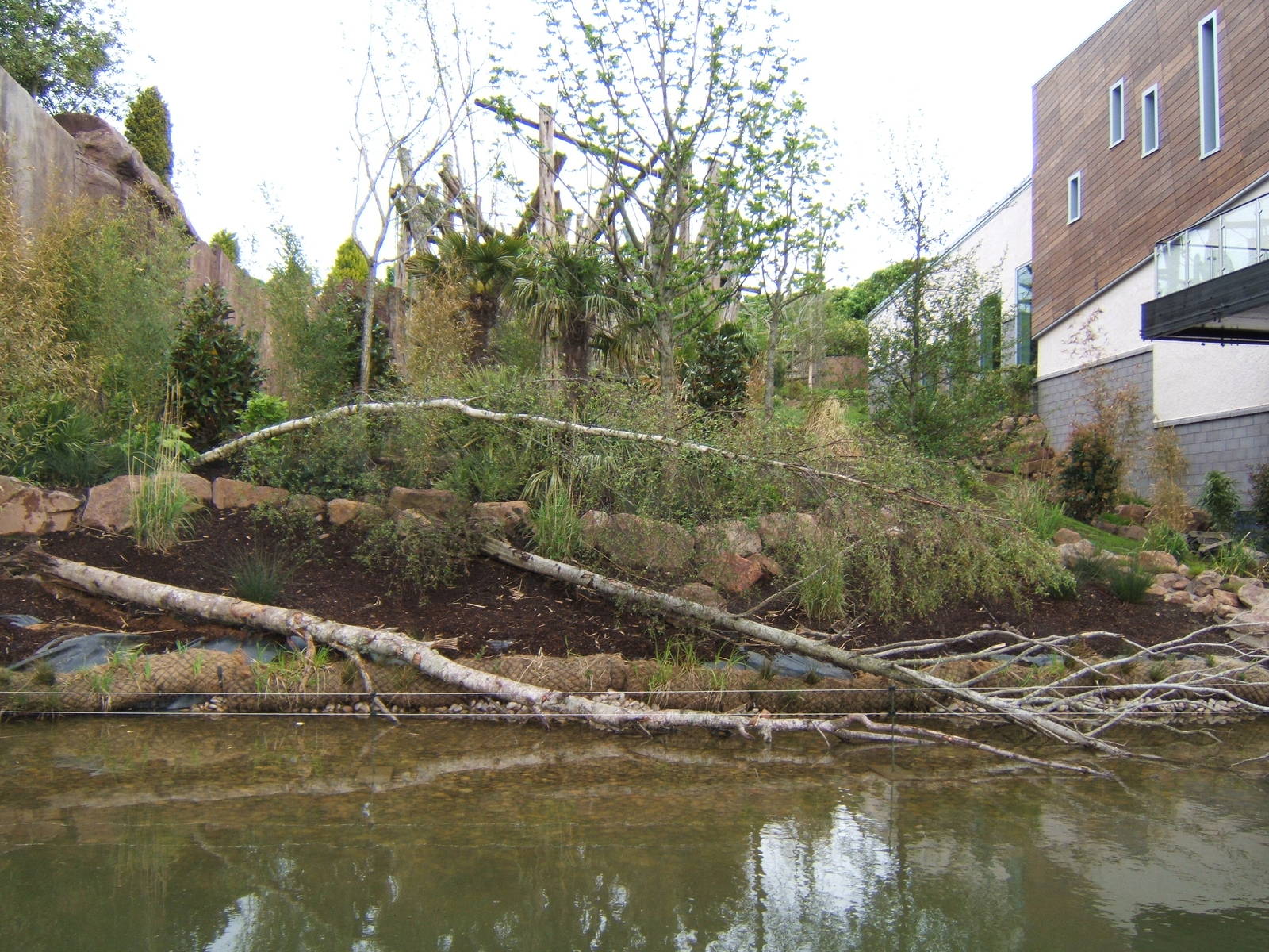 Outside enclosure at Budungo