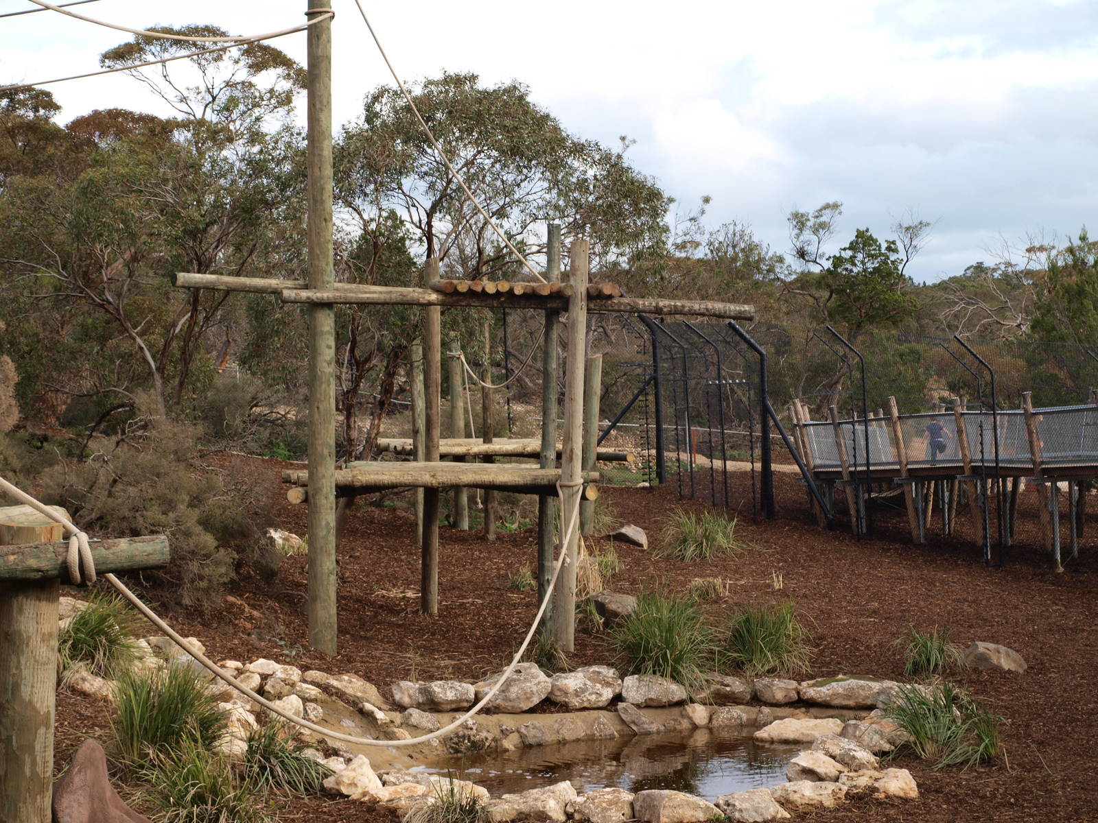 Outside Enclosure- Chimpanzees