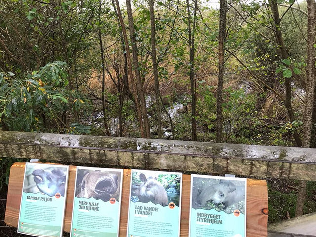 Outside enclosure for Brazilian tapirs