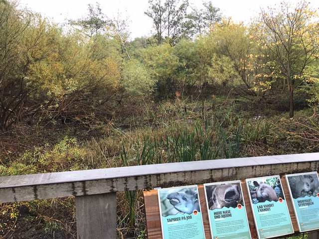 Outside enclosure for Brazilian tapirs