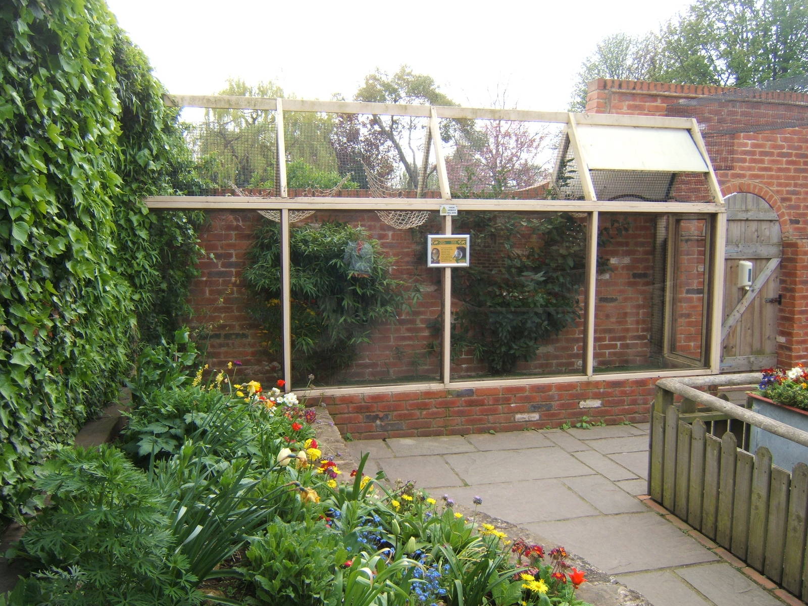 Outside enclosure for Marmosets