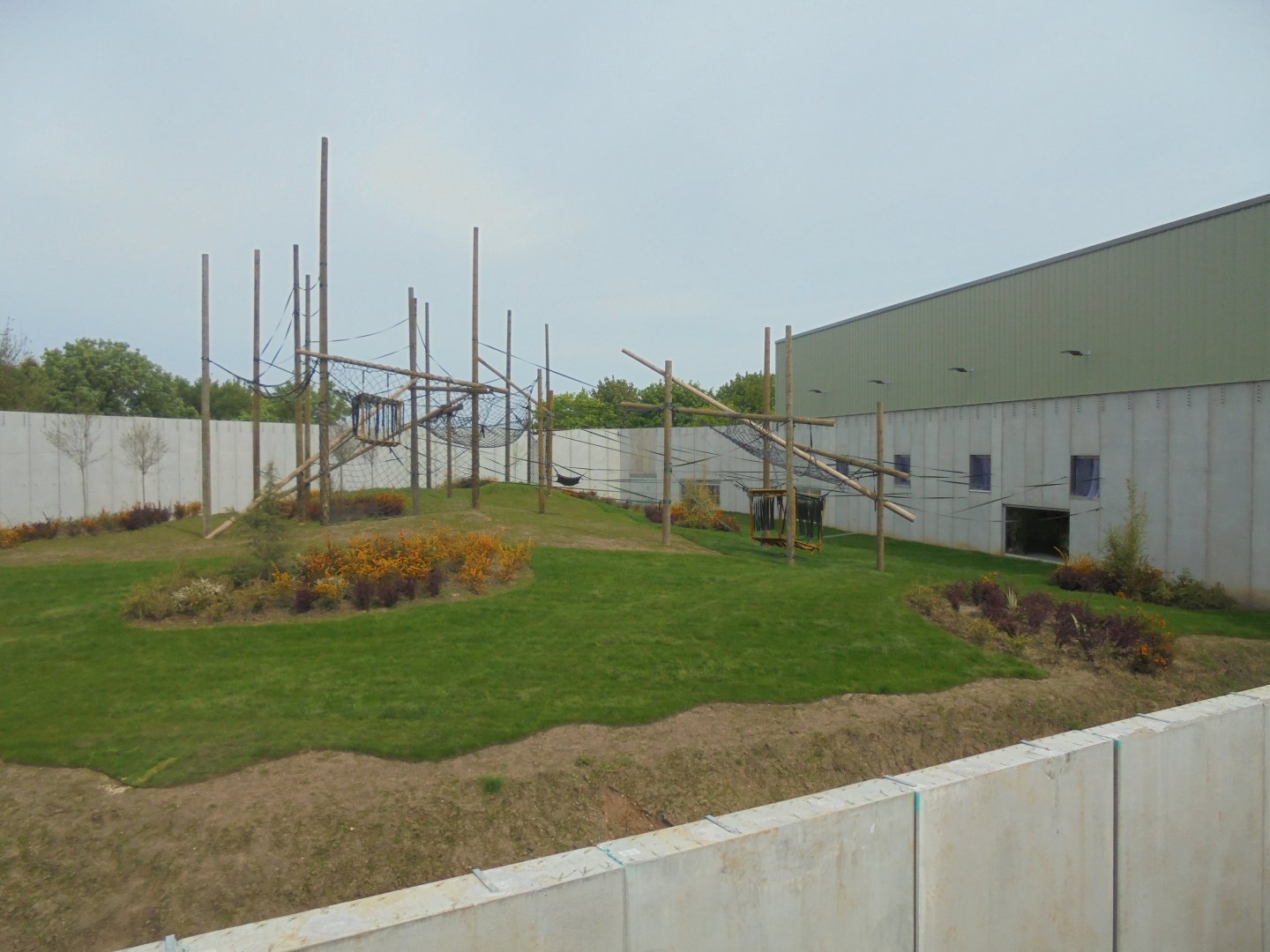 Outside enclosure from raised viewing platform