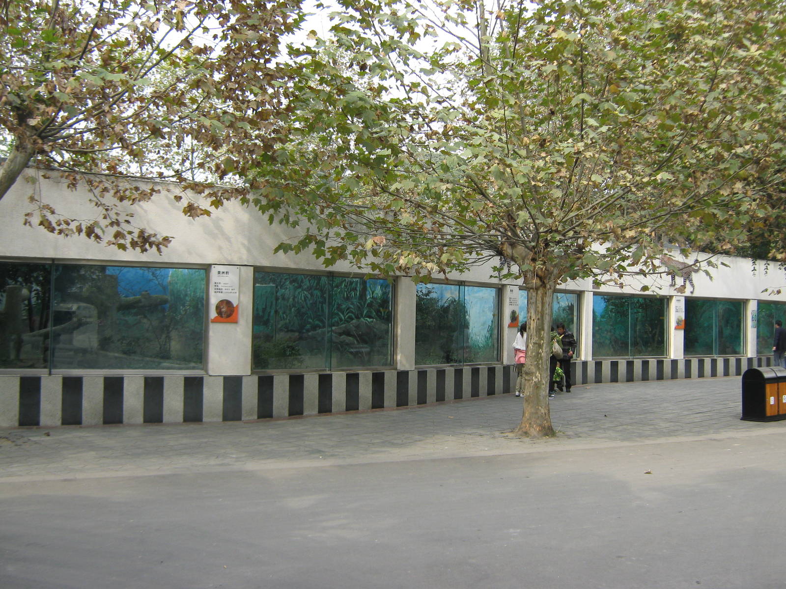 outside leopard cages