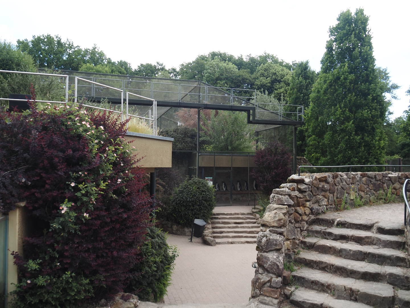 Outside of the building with harbor seal and Humboldt penguin underwater viewing areas and of the penguin and Inca tern aviary, 2025-05-22