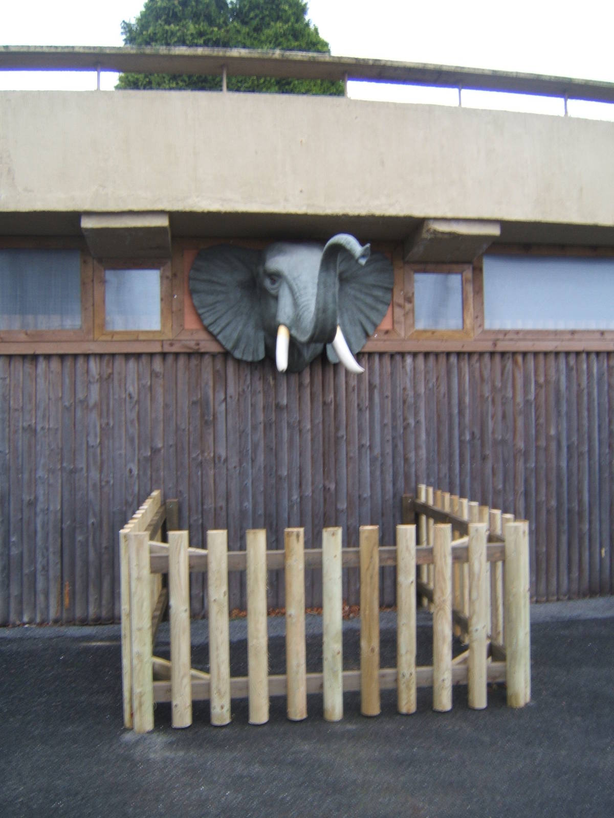 Outside old Elephant House