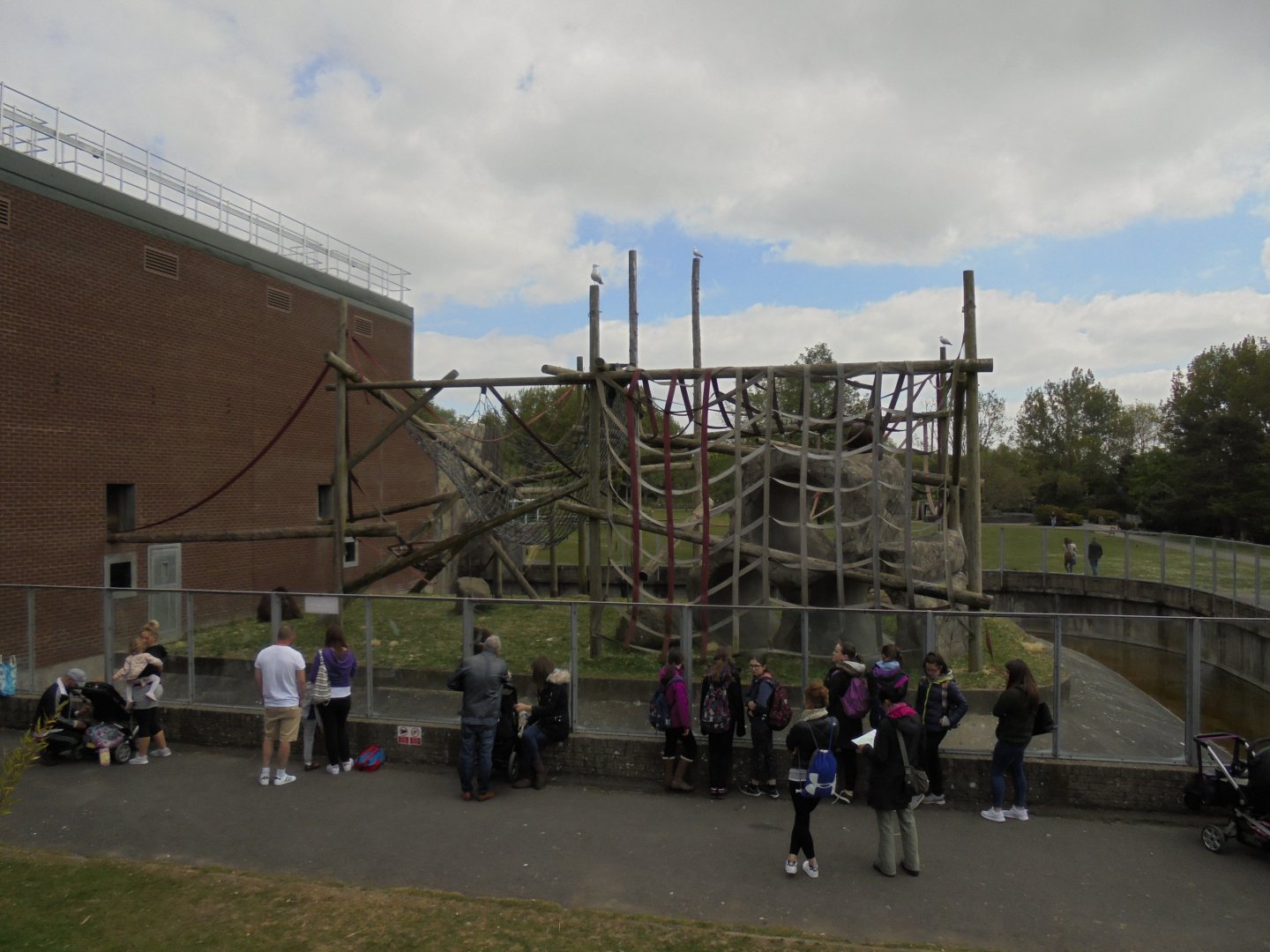 Outside Orangutan area