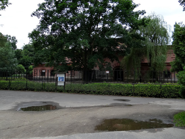 Outside paddocks  - Hexaprotodon liberiensis and Hippopotamus amphibius