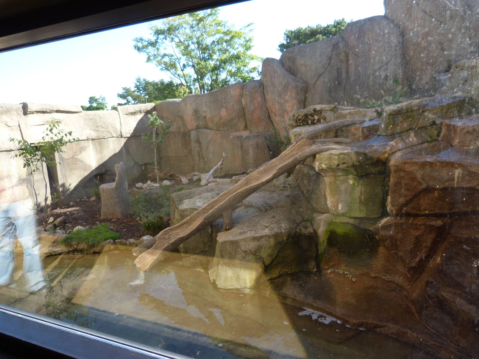 Outside Part of Otter Exhibit