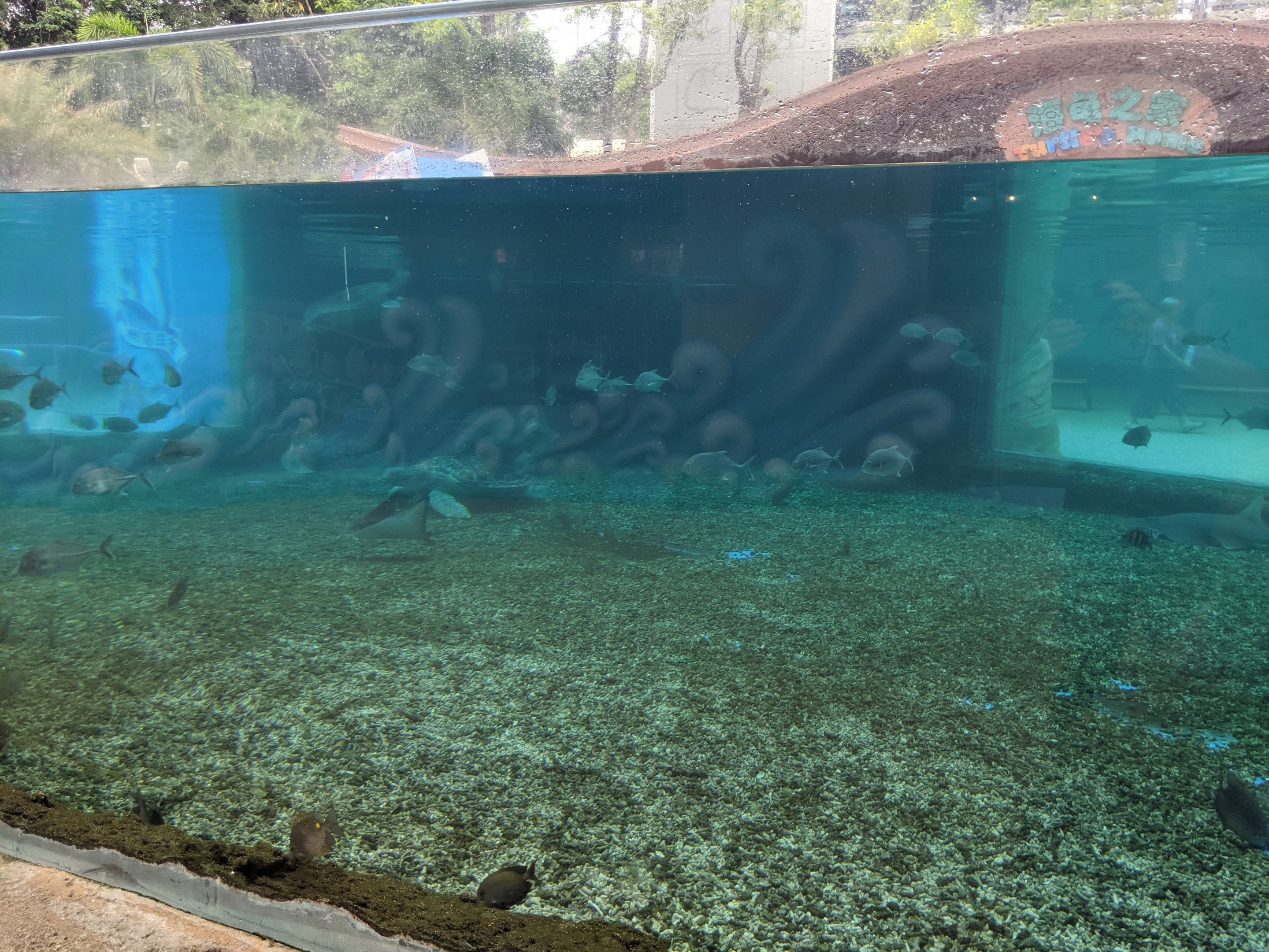 Outside pool - Ocean World (Guangzhou)