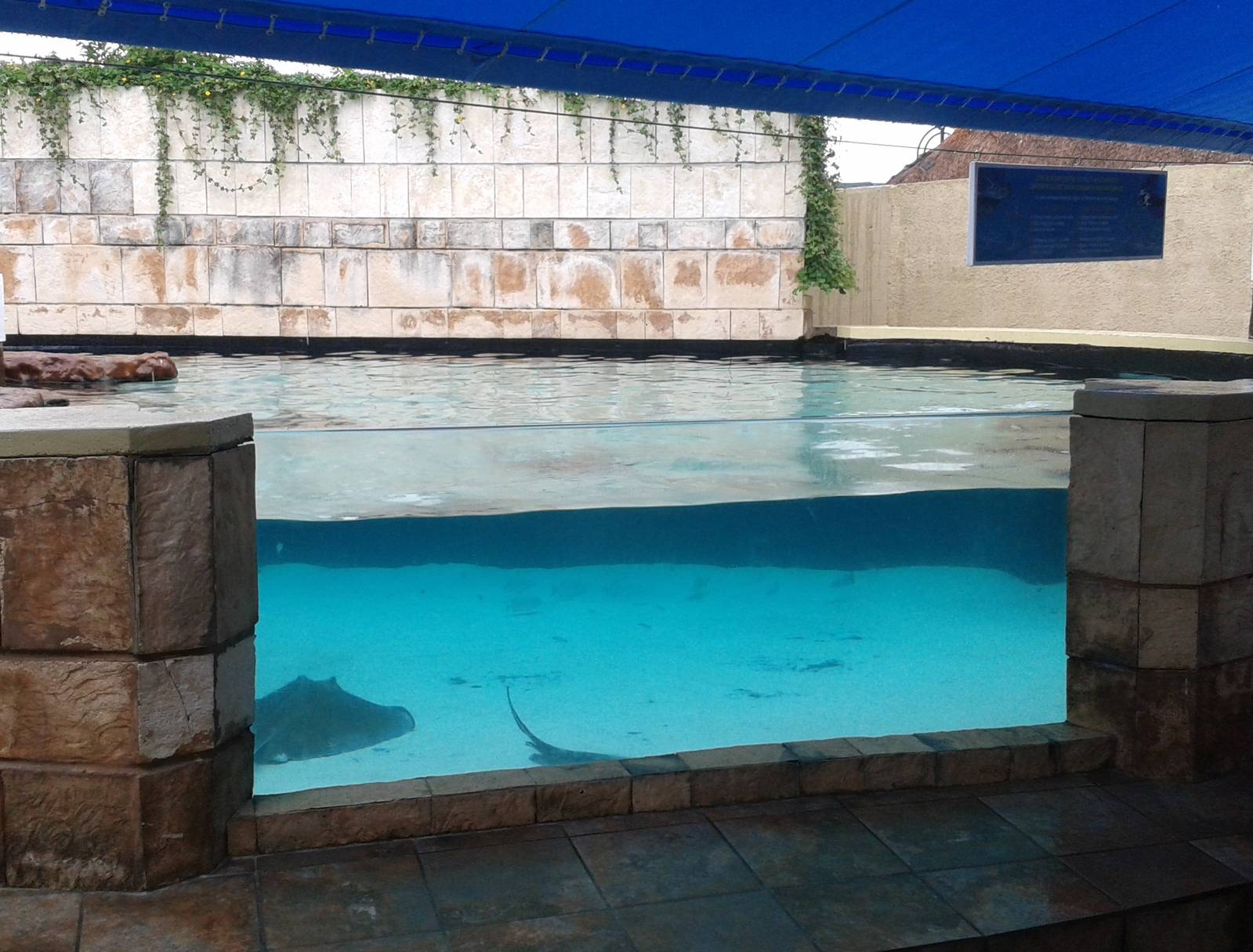 Outside ray enclosure