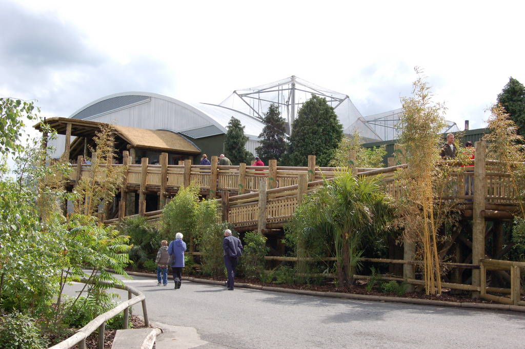 Outside Realm of the Red Ape