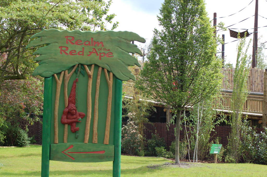 Outside Realm of the Red Ape