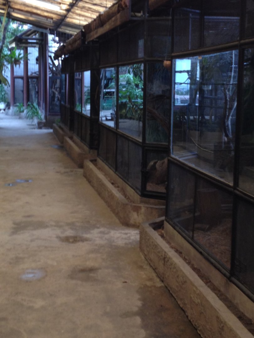 Outside roof enclosures