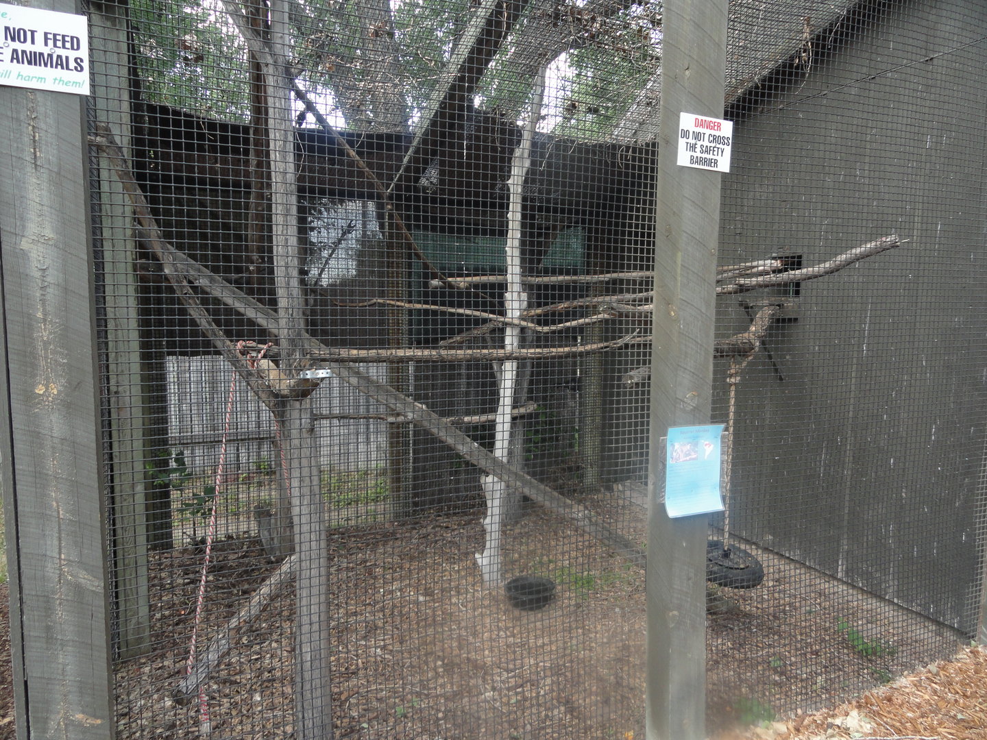 Outside Squirrel Monkey Exhibit