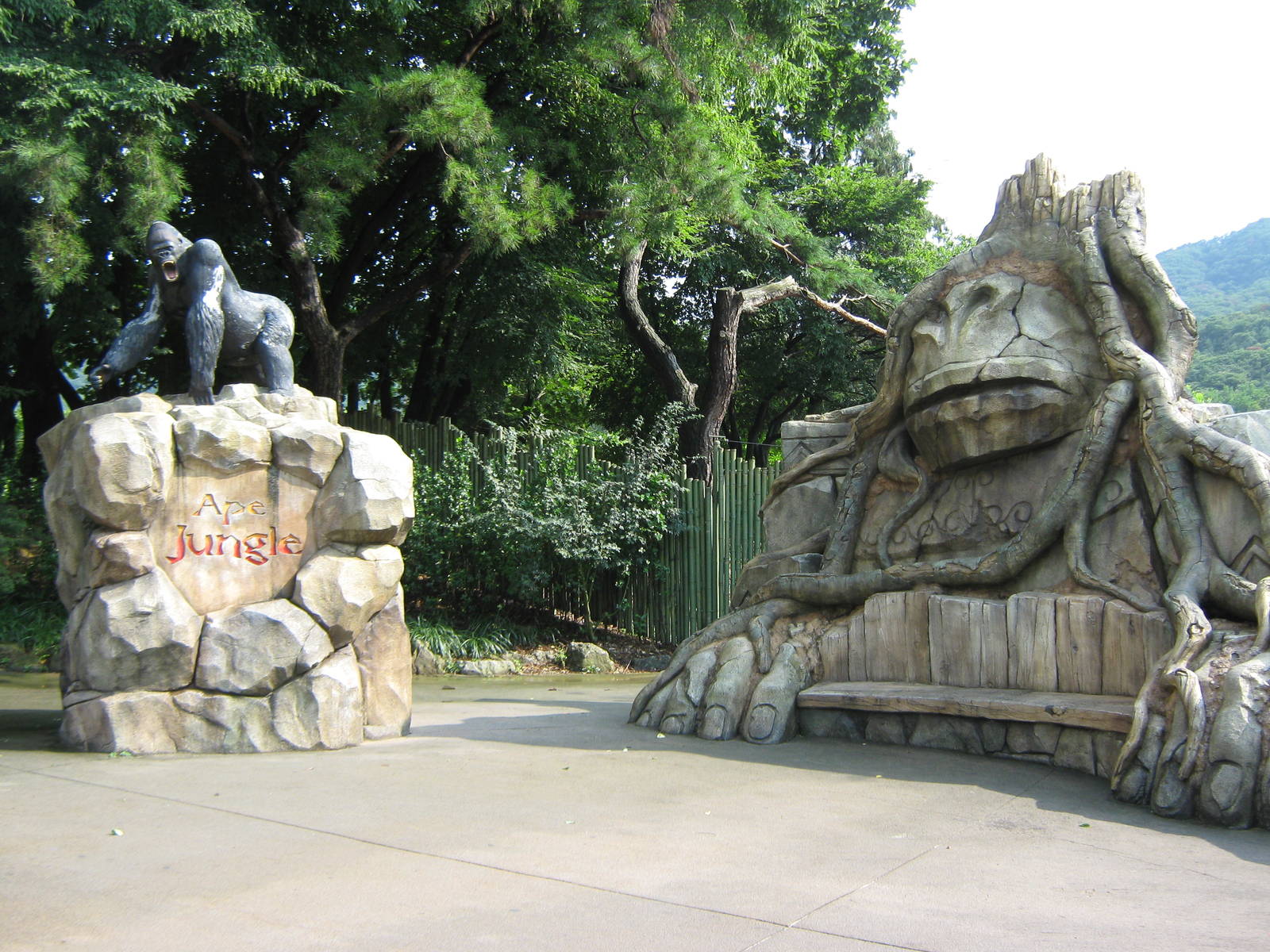 outside the Ape Jungle