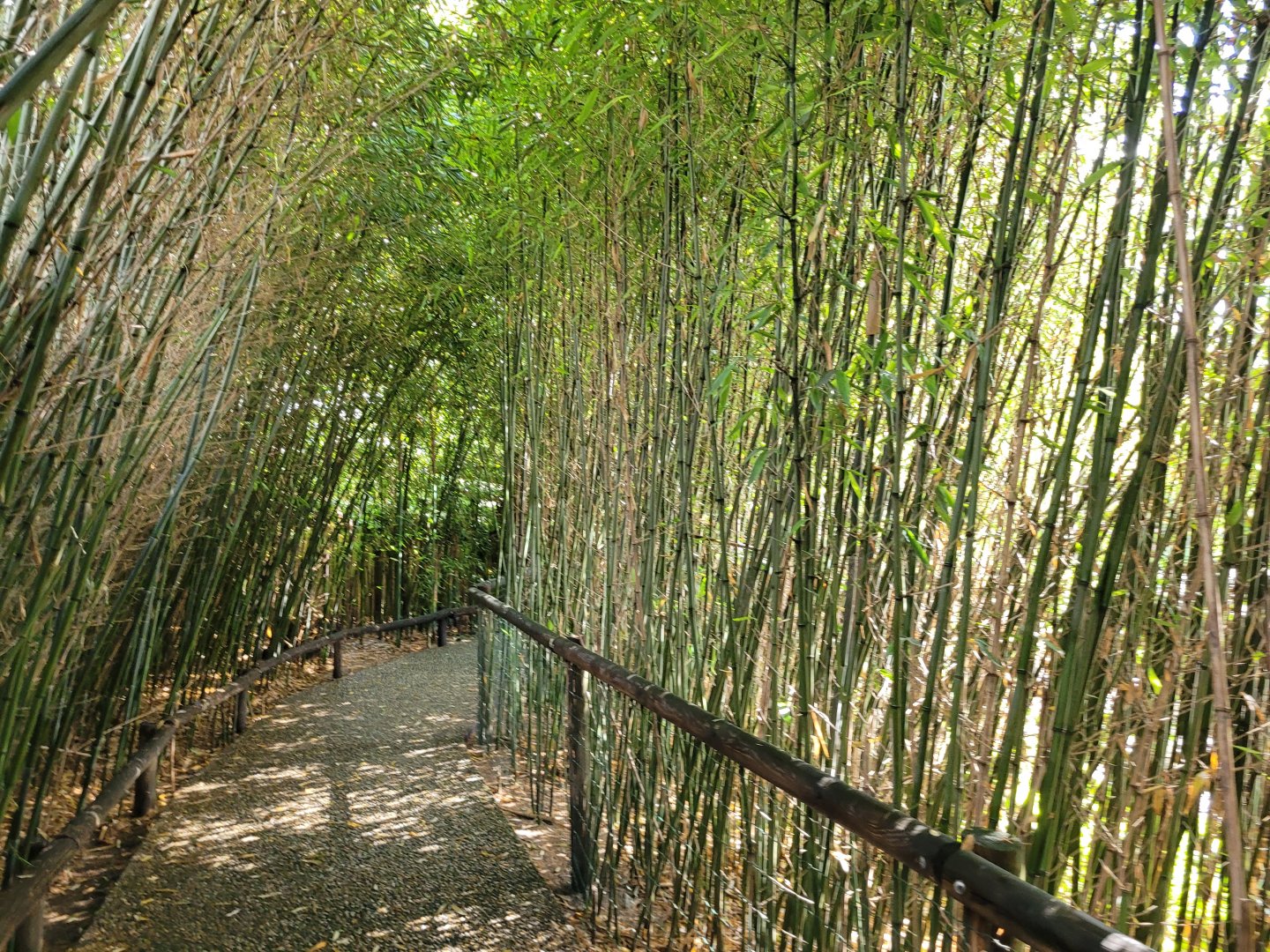 Outside the greenhouse -Zoo du bassin d'Arcachon (2024)