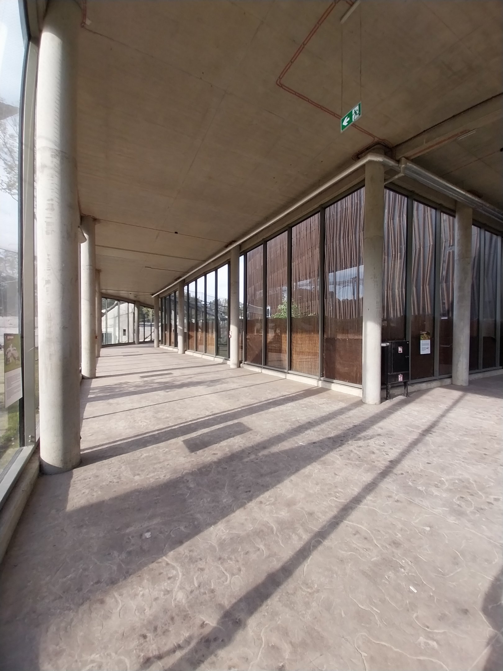Outside the Orientarium - Covered visitor walkway