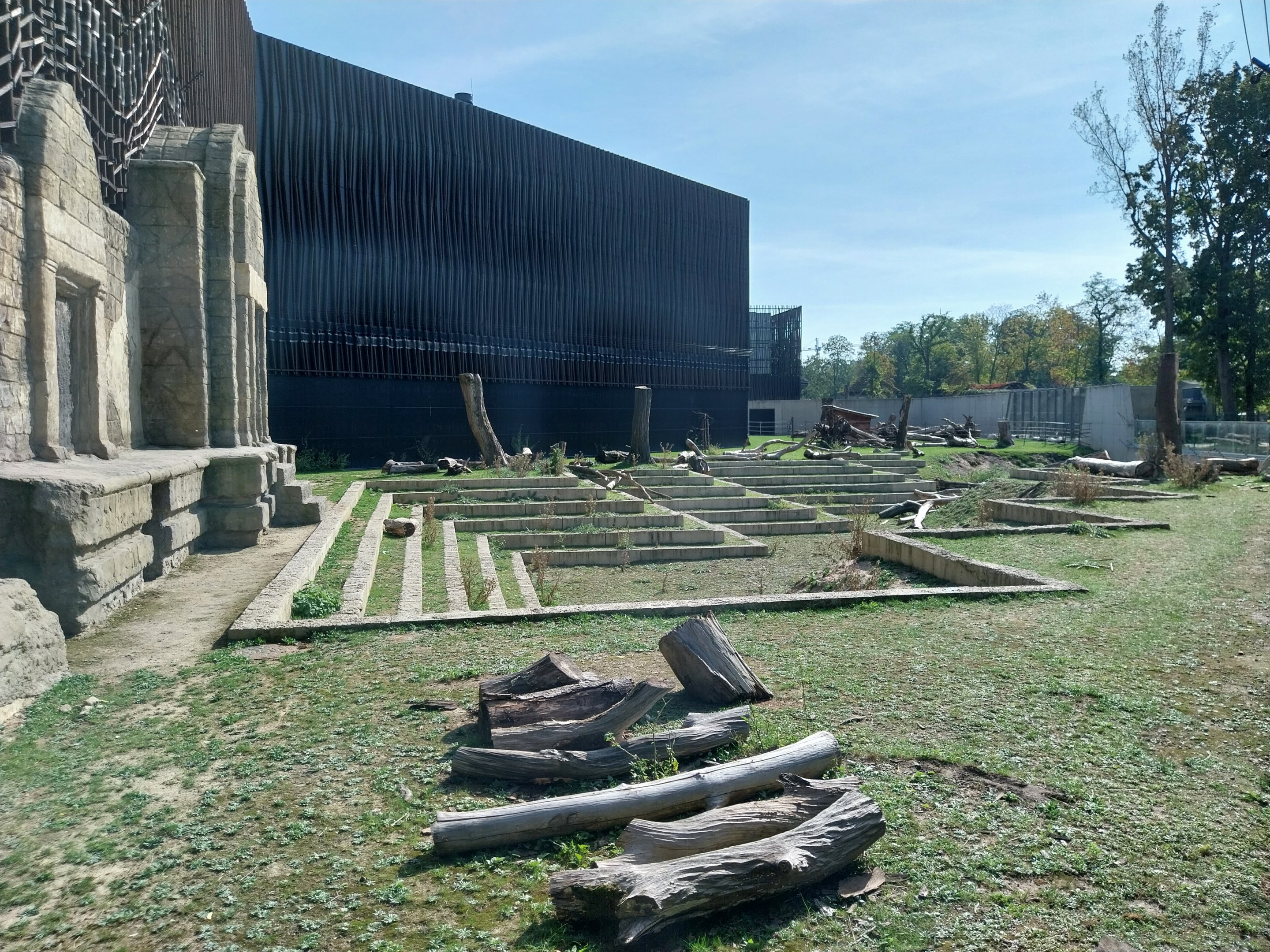 Outside the Orientarium - Japanese Macaque (Macaca Fuscata)