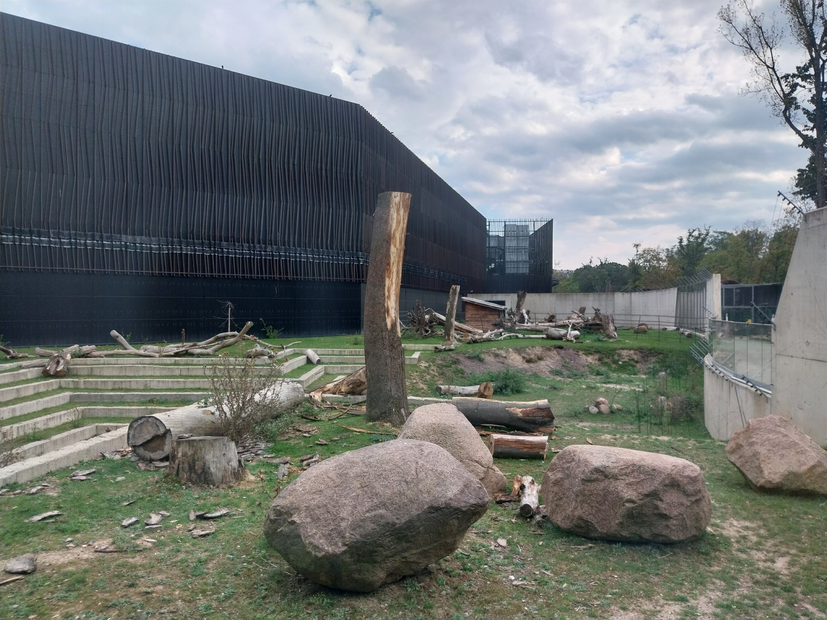 Outside the Orientarium - Japanese Macaque (Macaca fuscata)
