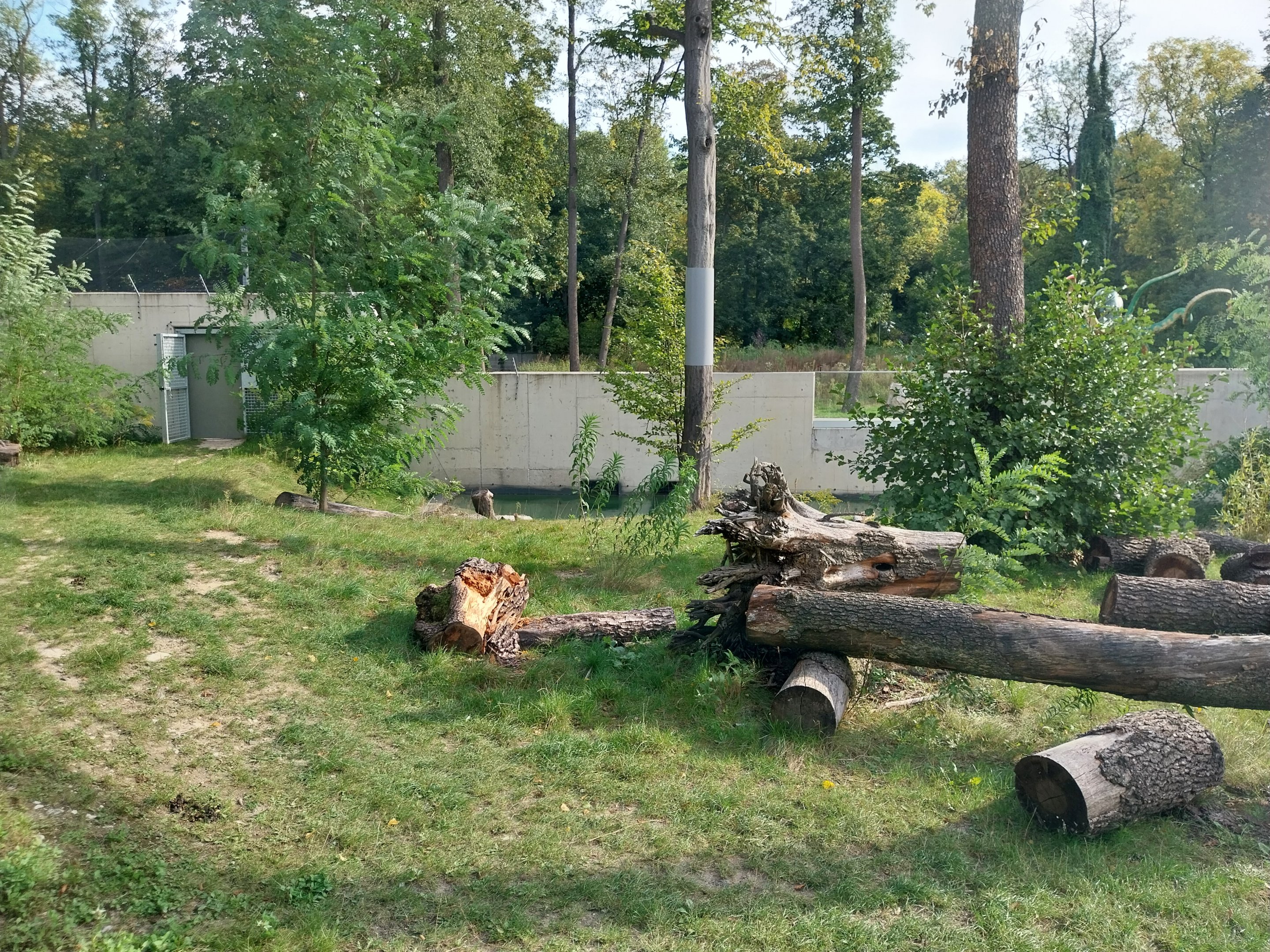 Outside the Orientarium - Sun bear (Helarctos malayanus malayanus) enclosure