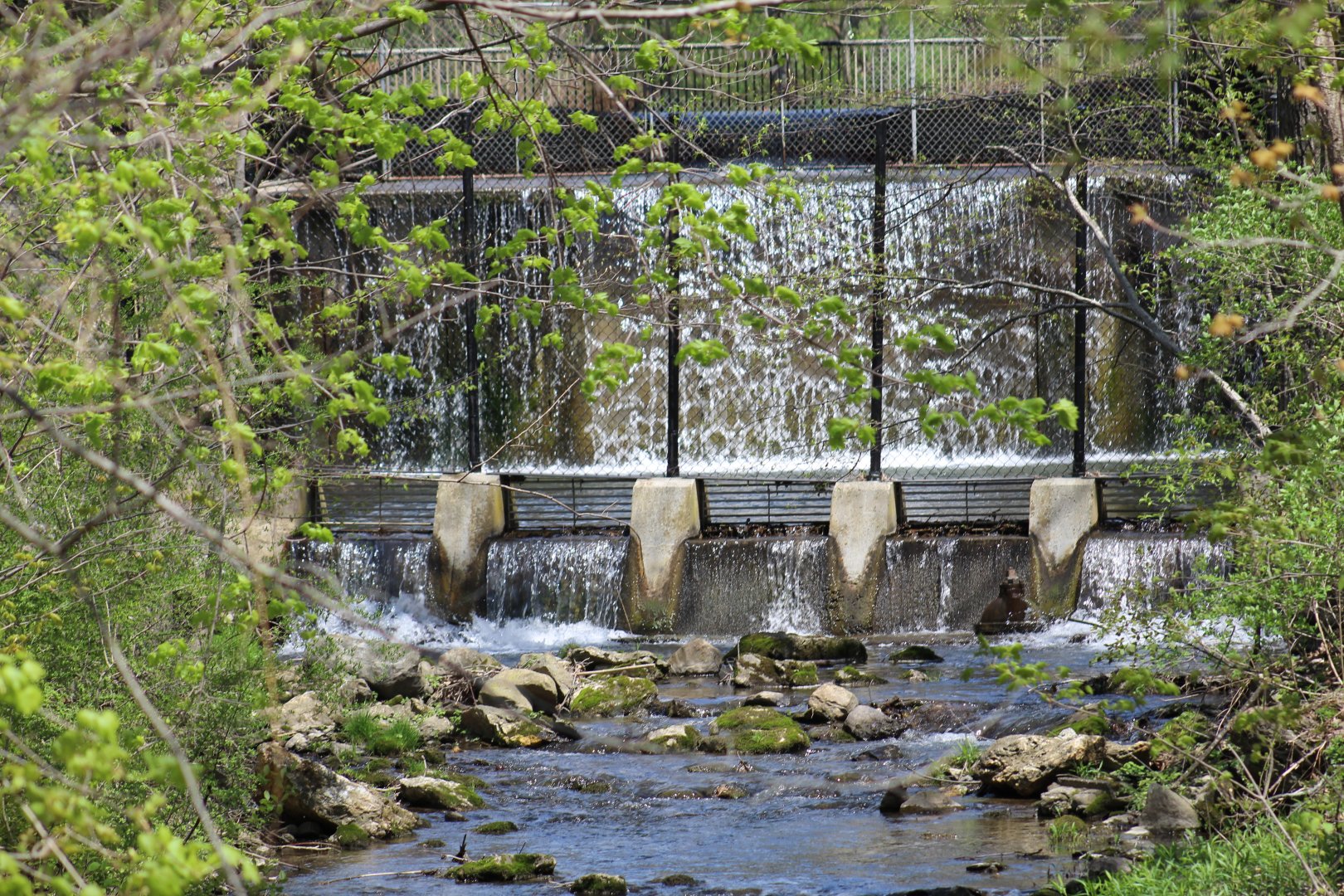 Outside View of Otter Enclosure