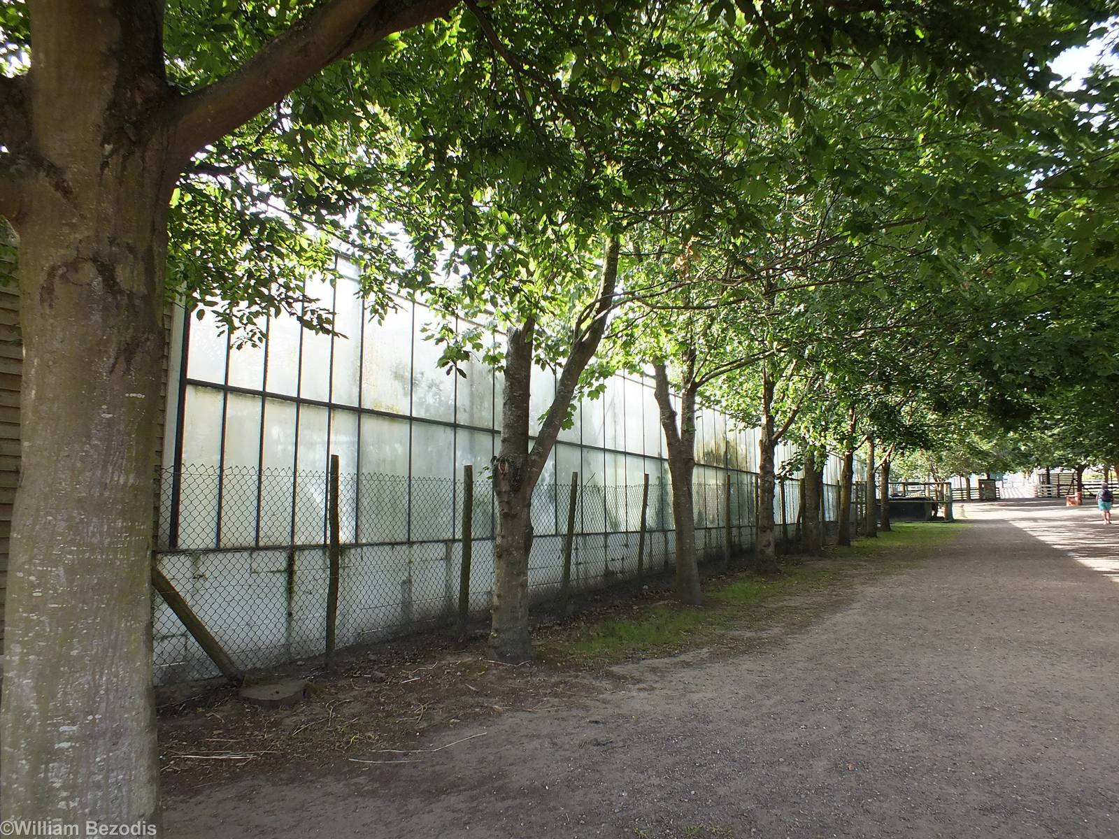 Outside View of the Tropical House