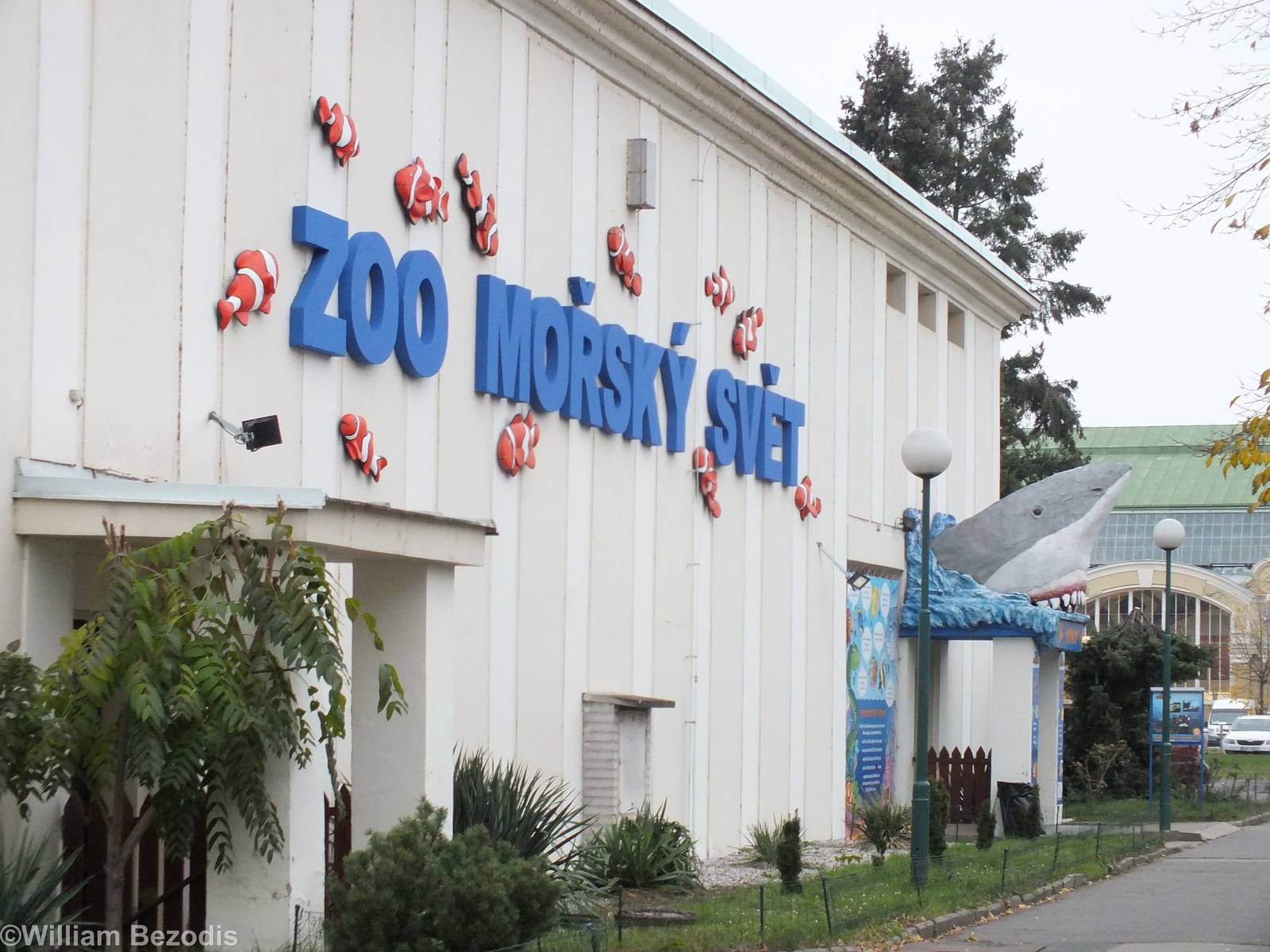 Outside Wall and Entrance area