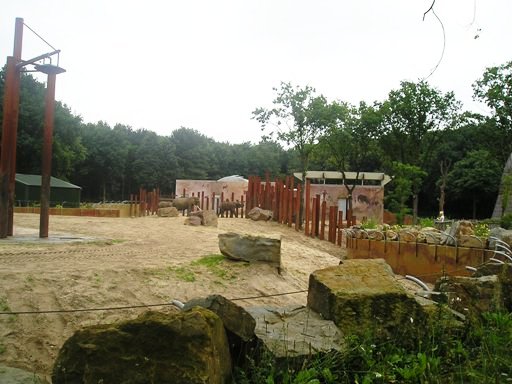 Ouwehand / Rhenen (NL) Elephant