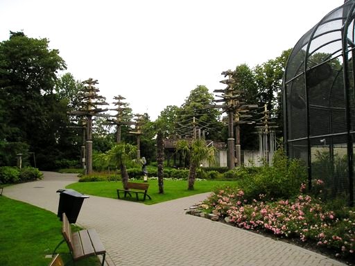 Ouwehand / Rhenen (NL) Orang-utan