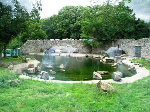 Ouwehand / Rhenen (NL) Polar bear enclosure