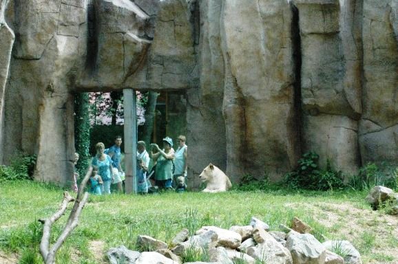 Ouwehand / Rhenen (NL) Umkhosi