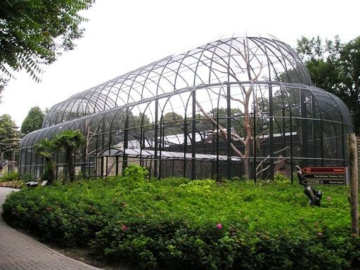 Ouwehand / Rhenen (NL) Urucu