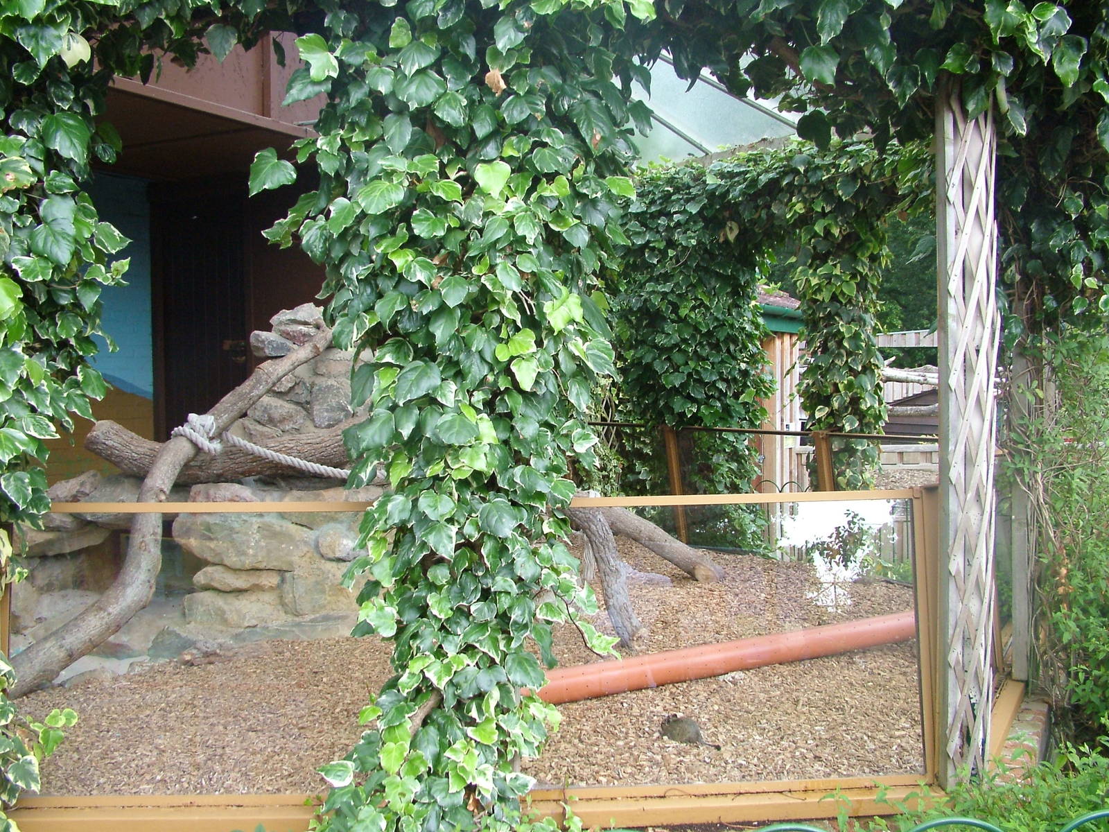 Over-elaborate Degu enclosure at Longleat August 2008