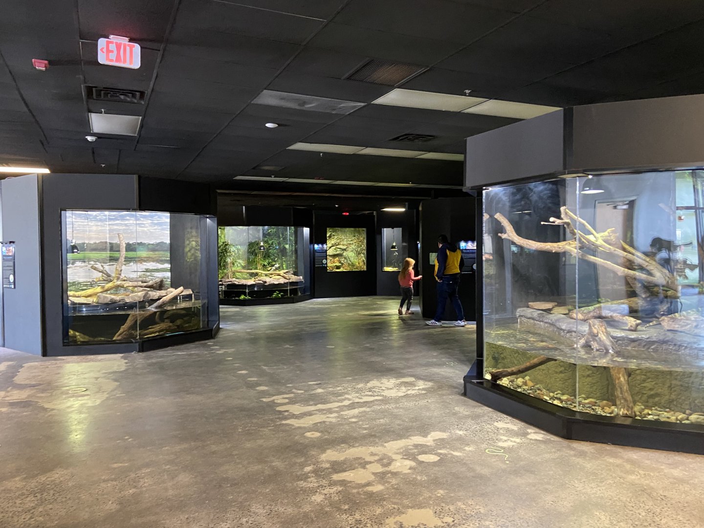 Overall Area, one large room, some side rooms. This is the Main Hall