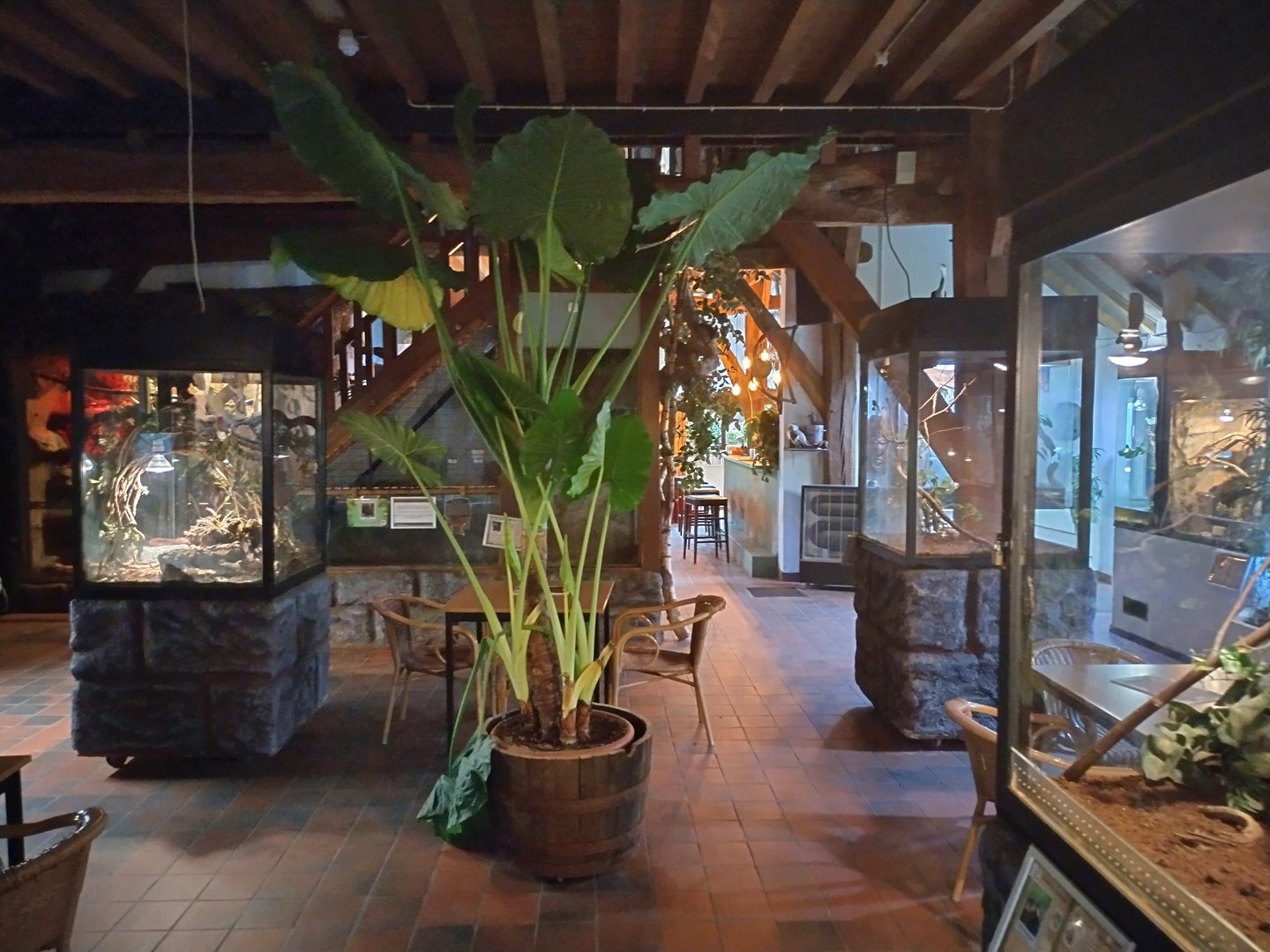 Overall view at de oliemeulen